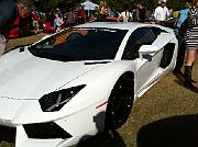 2011 Festival of Speed - Nov 2011 242